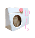ティアラのスタンプ2（個別スタンプ：12）