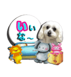 マルチーズのモンドです。（個別スタンプ：1）