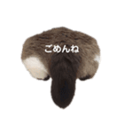 じじ と ぶぶ（個別スタンプ：17）