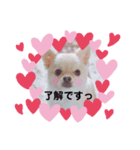 とまちゃん☆スタンプ（個別スタンプ：6）