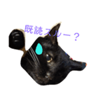 クロちゃま～（個別スタンプ：7）