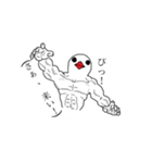 チロ(ピロ)の日々2(改)（個別スタンプ：11）