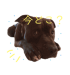 バルコナLIFE会話編（個別スタンプ：7）
