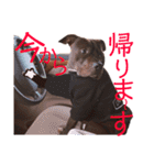 バルコナLIFE会話編（個別スタンプ：8）