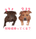 バルコナLIFE会話編（個別スタンプ：13）