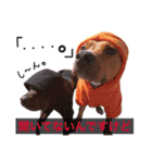 バルコナLIFE会話編（個別スタンプ：19）