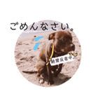 バルコナLIFE会話編（個別スタンプ：20）
