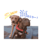 バルコナLIFE会話編（個別スタンプ：23）