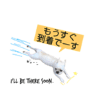 フレンチブルドッグ 5（個別スタンプ：3）