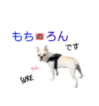 フレンチブルドッグ 5（個別スタンプ：18）