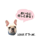 フレンチブルドッグ 5（個別スタンプ：21）