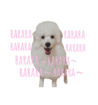 もあろわちったんぷ。（個別スタンプ：8）