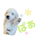 もあろわちったんぷ。（個別スタンプ：9）