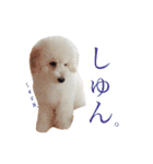 もあろわちったんぷ。（個別スタンプ：13）