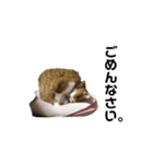 プーぞう（個別スタンプ：2）