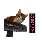 プーぞう（個別スタンプ：3）