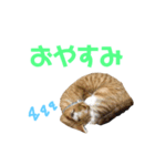 プーぞう（個別スタンプ：6）