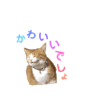 プーぞう（個別スタンプ：8）