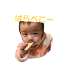 けんちゃんスタンプ⭐️（個別スタンプ：5）