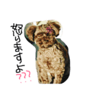 RikiReo（個別スタンプ：7）