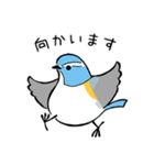 野鳥すたんぷ（個別スタンプ：31）