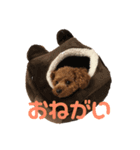 キラたんの日常会話☆（個別スタンプ：2）