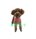 キラたんの日常会話☆（個別スタンプ：6）