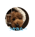 キラたんの日常会話☆（個別スタンプ：12）