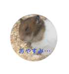 ちのぷる（個別スタンプ：3）