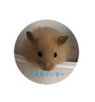 ちのぷる（個別スタンプ：11）