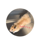 ちのぷる（個別スタンプ：13）
