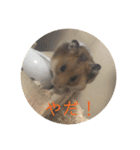 ちのぷる（個別スタンプ：15）