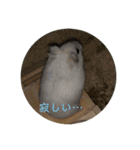 ちのぷる（個別スタンプ：23）