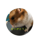 ちのぷる（個別スタンプ：24）