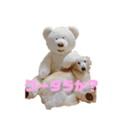 ゴールデンと芝犬のきなことうめこ（個別スタンプ：31）