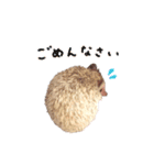 毎日てくてくハリネズミのおふぐ（個別スタンプ：7）