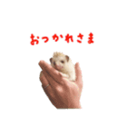 毎日てくてくハリネズミのおふぐ（個別スタンプ：9）