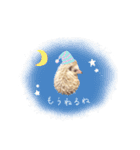毎日てくてくハリネズミのおふぐ（個別スタンプ：16）
