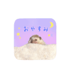毎日てくてくハリネズミのおふぐ（個別スタンプ：17）