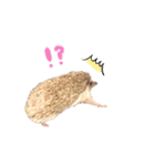 毎日てくてくハリネズミのおふぐ（個別スタンプ：19）