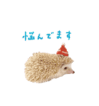 毎日てくてくハリネズミのおふぐ（個別スタンプ：23）