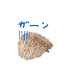 毎日てくてくハリネズミのおふぐ（個別スタンプ：24）