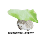 ハリネズミのちびちゃん（個別スタンプ：1）