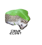 ハリネズミのちびちゃん（個別スタンプ：5）
