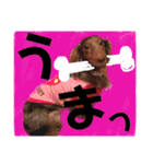 かわいいわんこのえる（個別スタンプ：9）