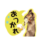 かわいいわんこのえる（個別スタンプ：11）