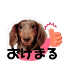 かわいいわんこのえる（個別スタンプ：18）
