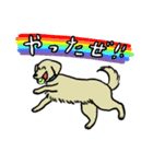 犬と猫が好きな人（個別スタンプ：8）