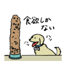 犬と猫が好きな人（個別スタンプ：11）