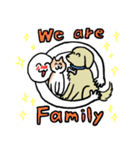 犬と猫が好きな人（個別スタンプ：15）